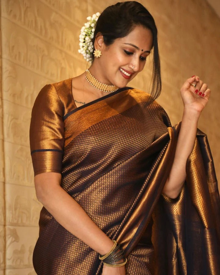Valmika Black Soft Kanjivaram Silk Drape with Unique Blouse Piece