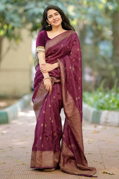 Regal Wine-Purple Handloom Chanderi Saree with Gold Zari Border and Velvet Blouse Set