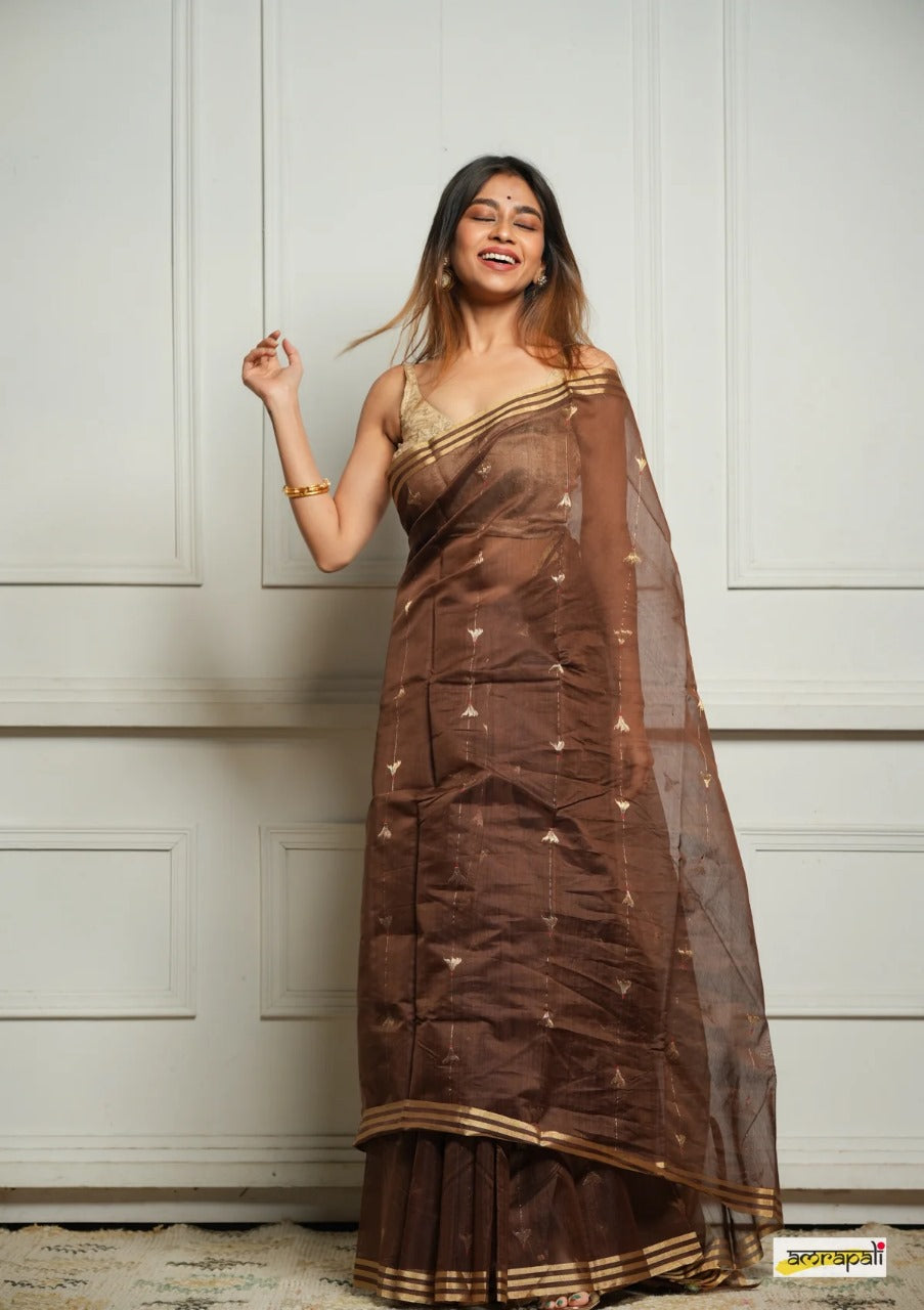 Brown Handwoven Cotton Silk Saree with Zari Border