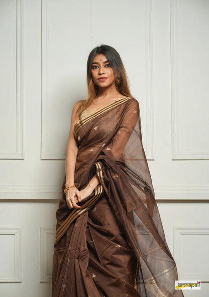 Brown Handwoven Cotton Silk Saree with Zari Border