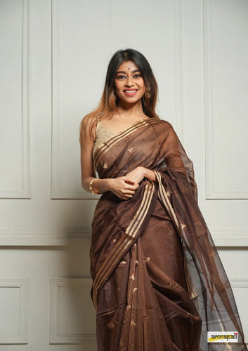 Brown Handwoven Cotton Silk Saree with Zari Border
