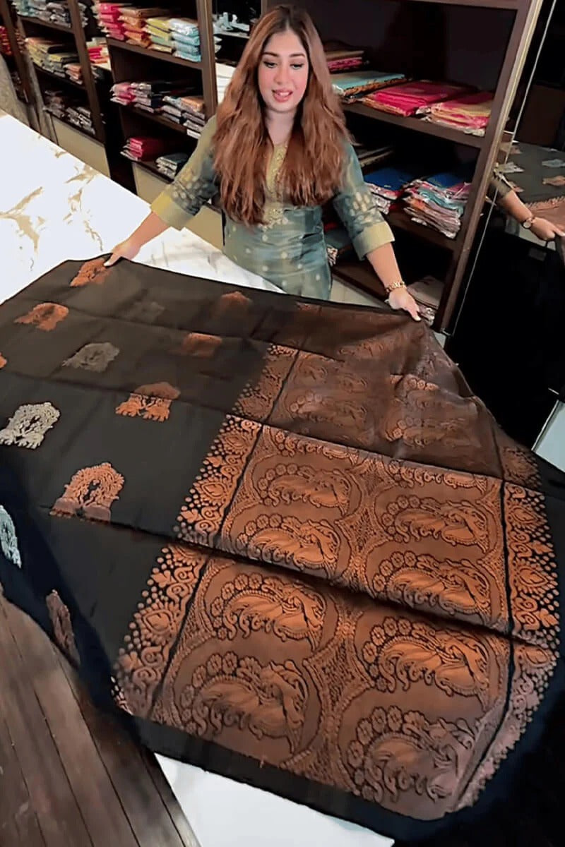 Aastha - Black Soft Silk Saree with Jacquard Woven Motifs