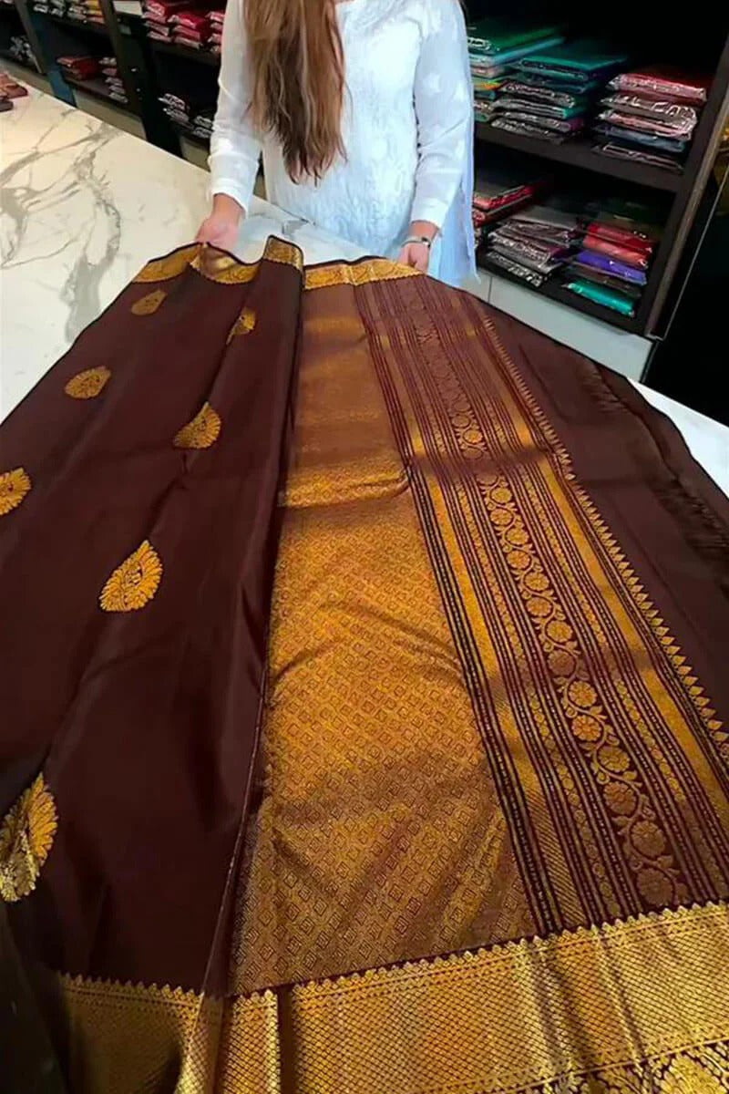 Aastha - Brown Soft Silk Saree with Jacquard Woven Motifs