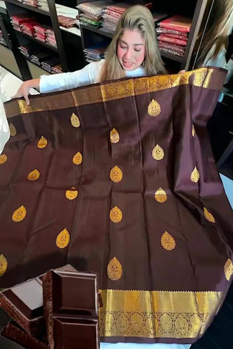Aastha - Brown Soft Silk Saree with Jacquard Woven Motifs