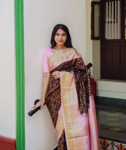 Maroon With Pink Border Banarasi Silk Saree
