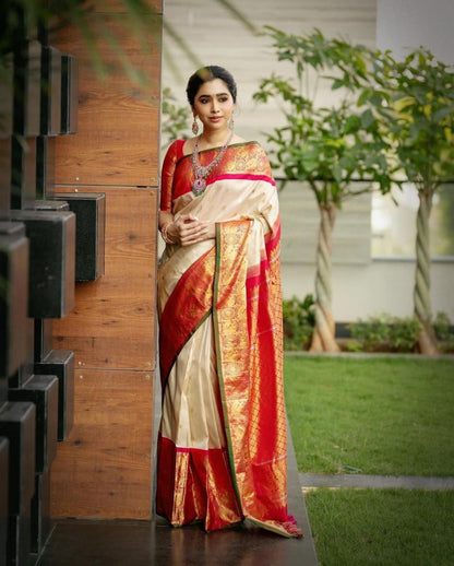 Most Stunning Beige Soft Silk Saree