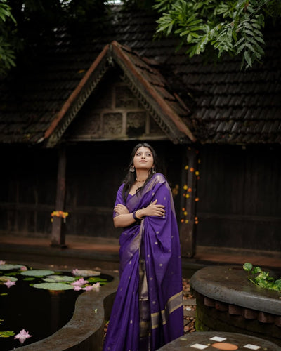 Mysore – Soft Cotton Silk Saree with Rich Jaquard Weaving and Grand Pallu