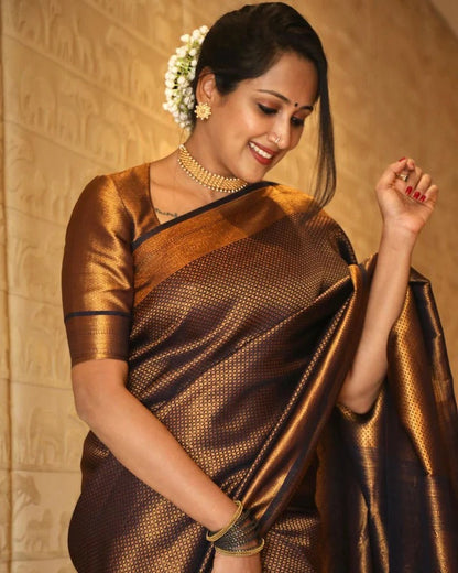 Valmika Black Soft Kanjivaram Silk Drape with Unique Blouse Piece